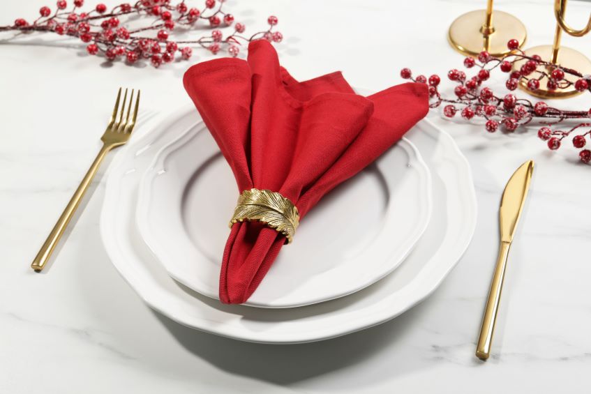 Tips for Matching Your Napkin and Tablecloth Colors - Dust Tex