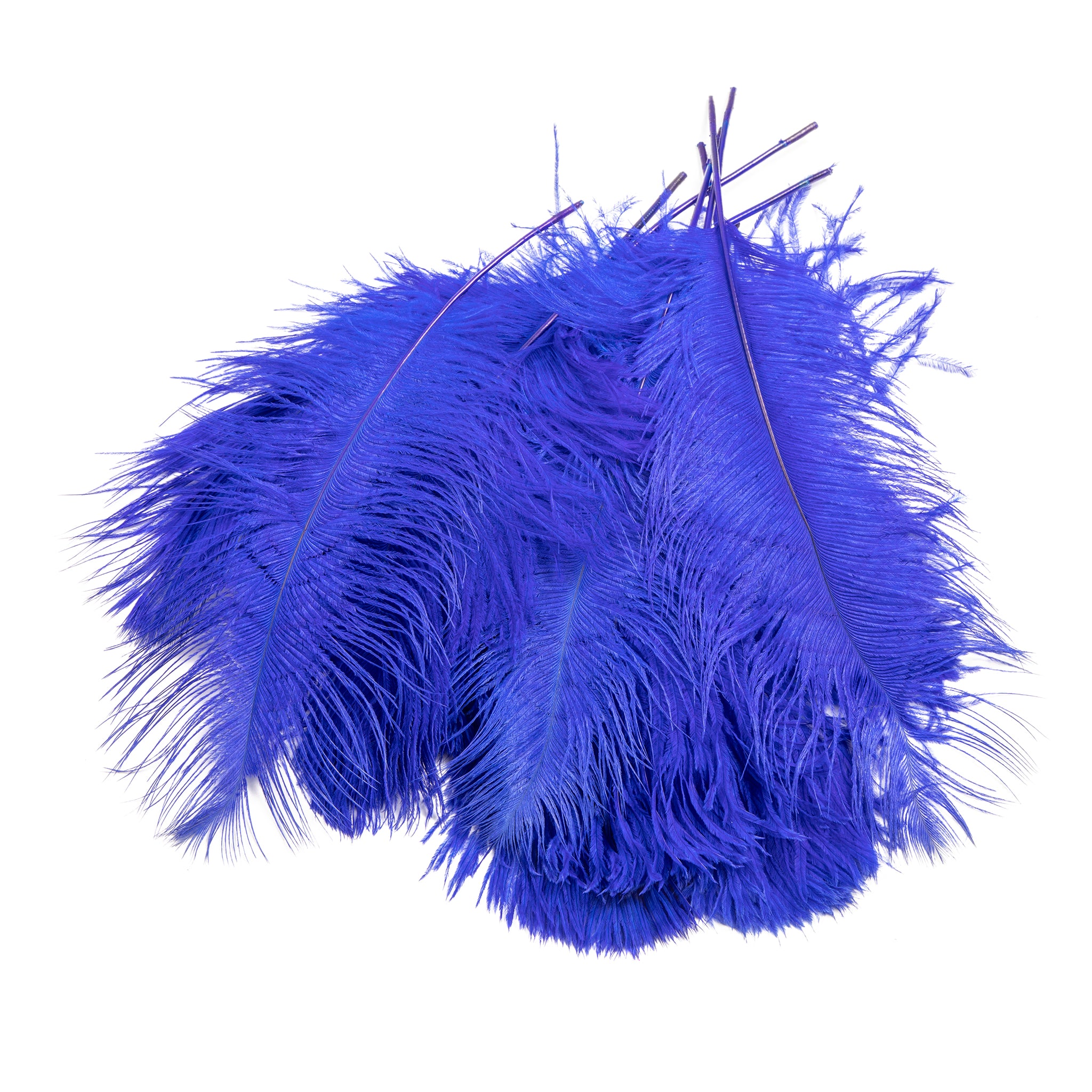 BULK 1/2lb Ostrich Feather Tail Plumes 15-20 (Baby Blue) for Sale Online