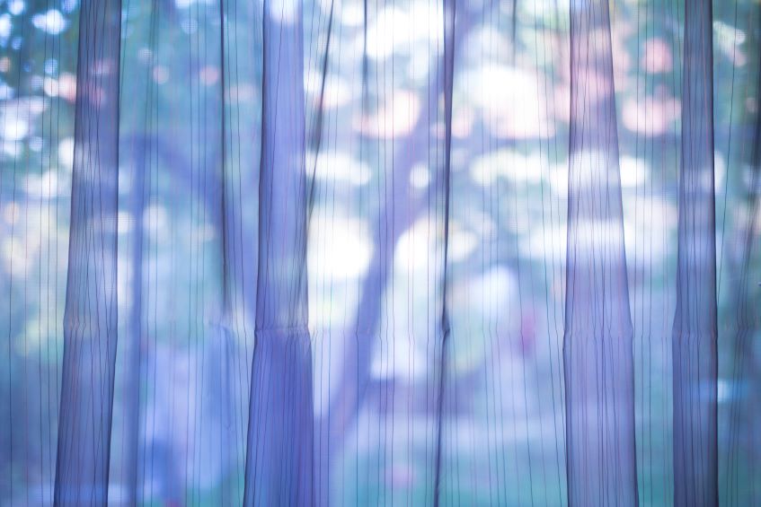 purple-transparent-curtain