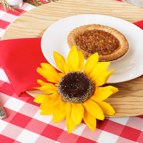 red and white gingham tablecloth