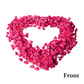 Floral 3D Backdrop for Open Heart Stand - Fuchsia