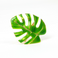 4 pc/pk Green Monstera Leaf Napkin Ring