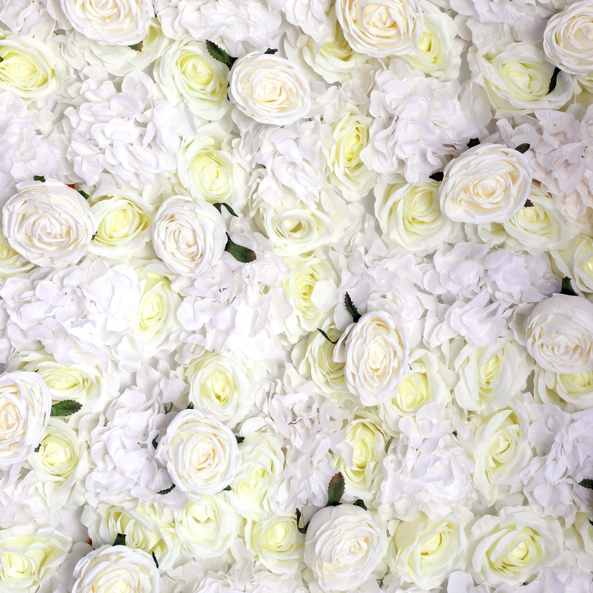 Ivory Roll-Up Flower Wall Backdrop 8ft x 4ft– CV Linens