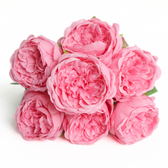 Silk Artificial Peony Flower Bush Bundle - Light Pink – CV Linens