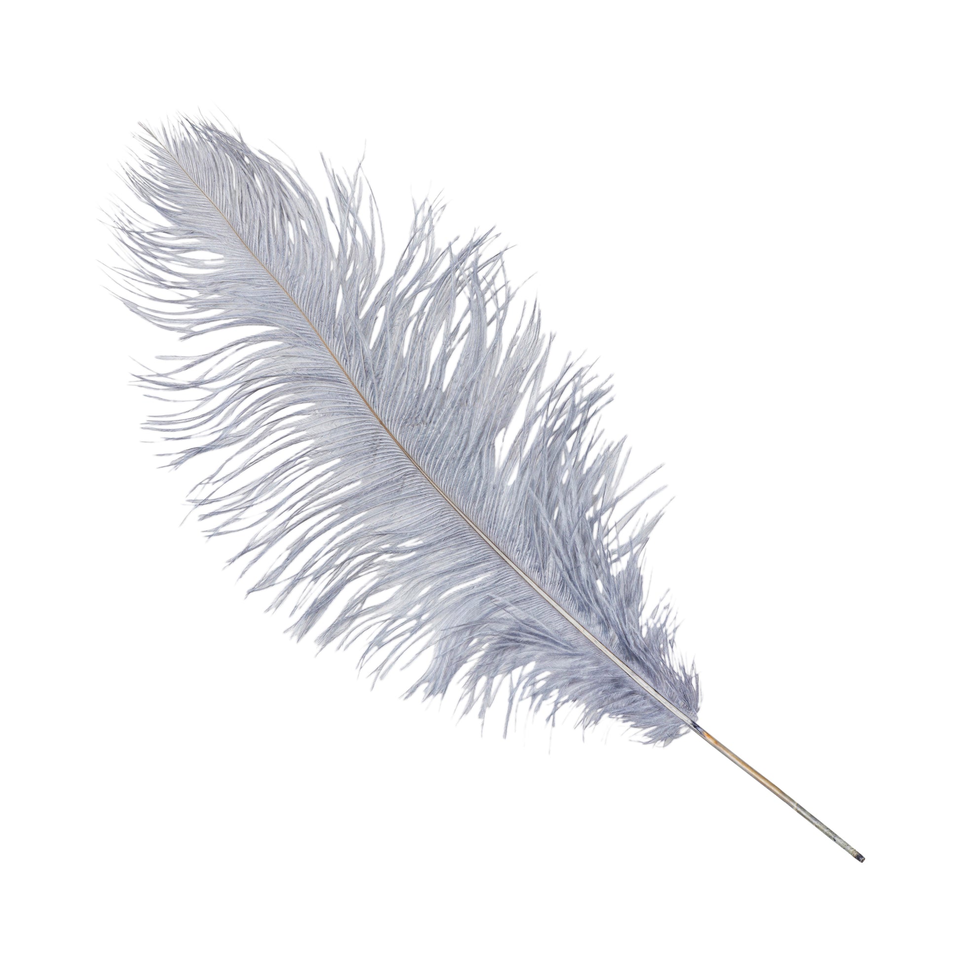 White feather centerpieces  Masquerade party decorations, Feather