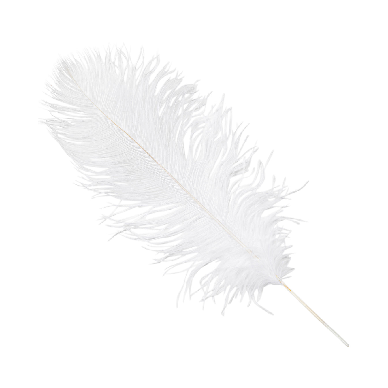 Wholesale Ostrich Feathers 16