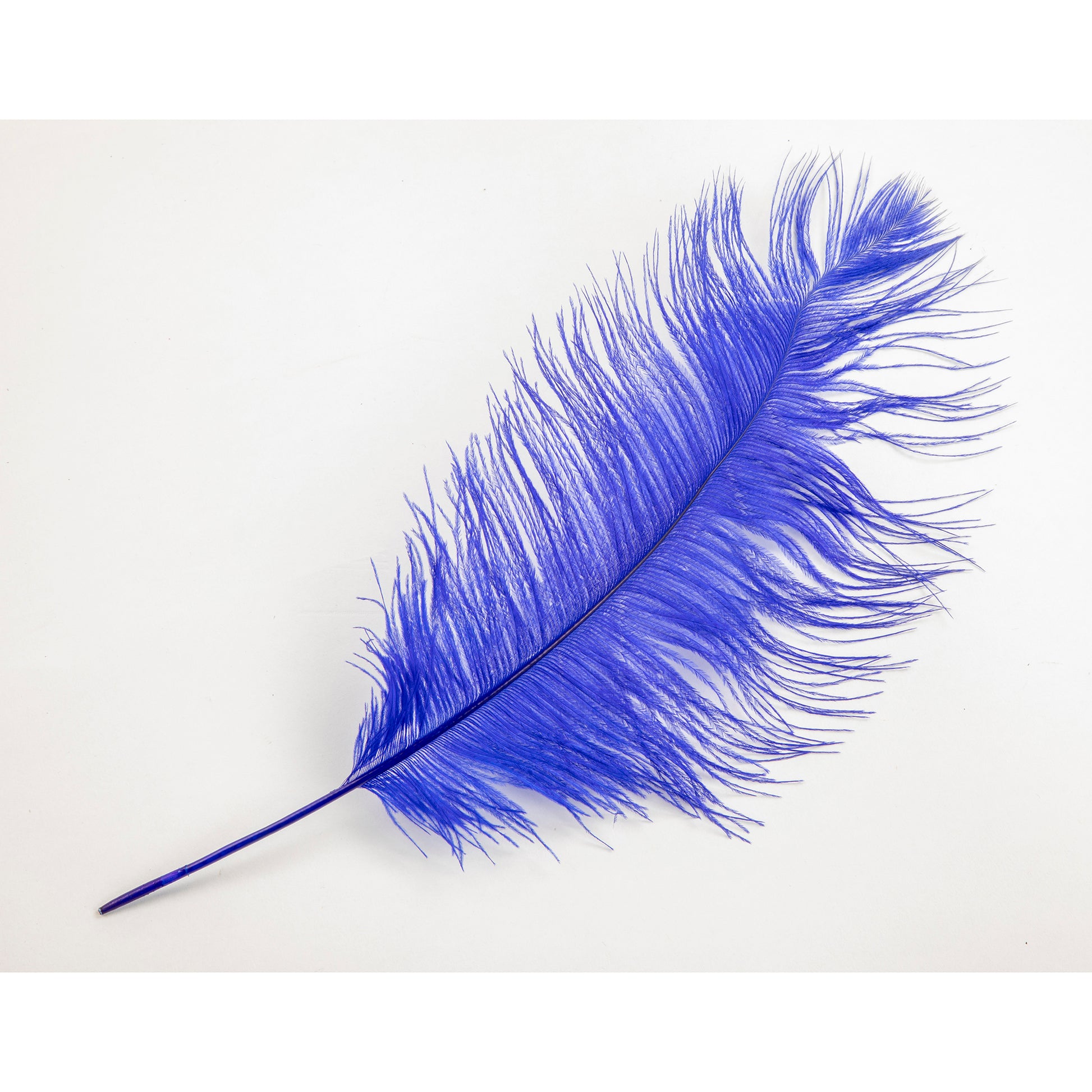 1/2 Lb. - 25-29 Royal Blue Large Ostrich Wing Plume Wholesale Feathers  (Bulk)