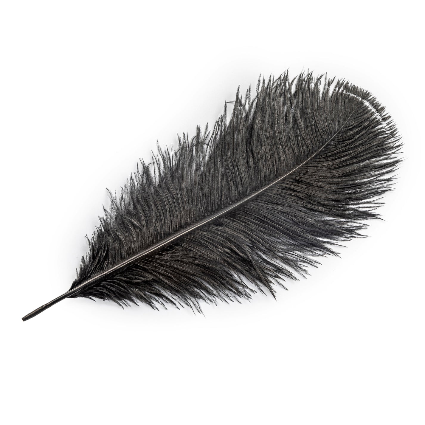 Wholesale Ostrich Feathers 14